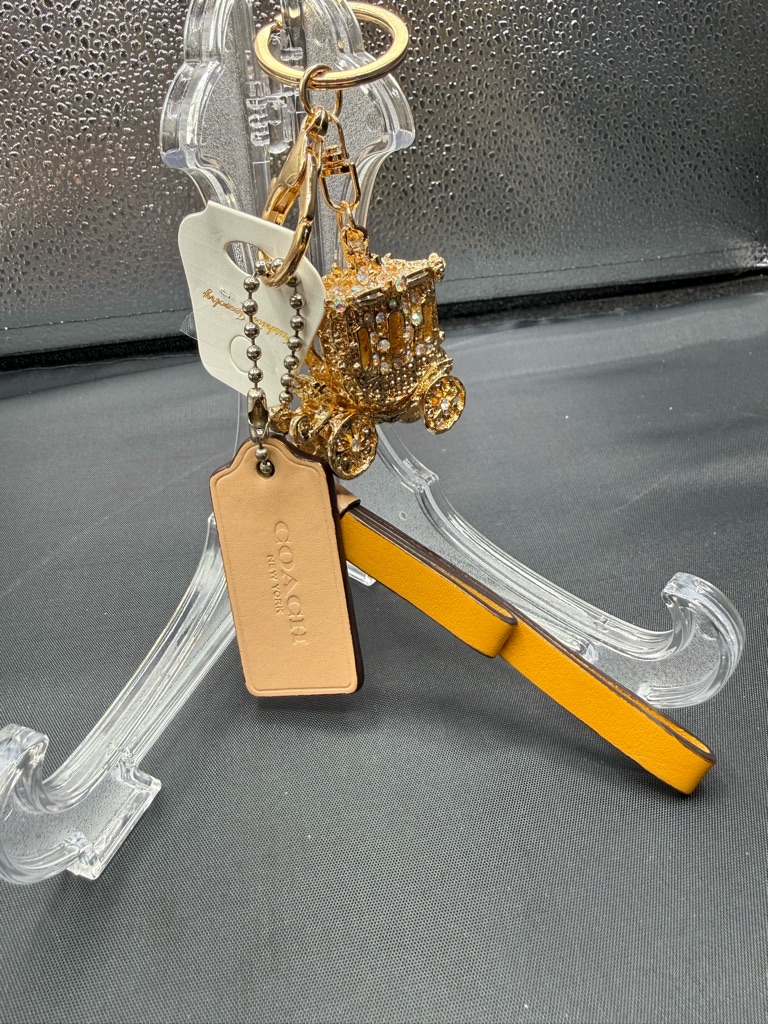 Coach Authentic Hang Tag With Unbranded Keychain